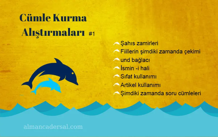 Şimdiki Zamanda Cümle Kurma Alıştırmaları-A1