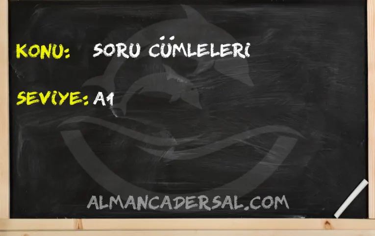 Soru Cümleleri