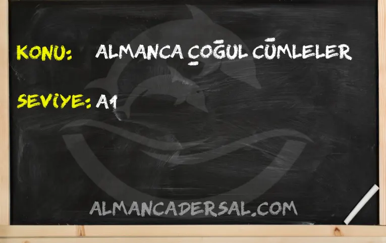 Almanca Çoğul Cümleler