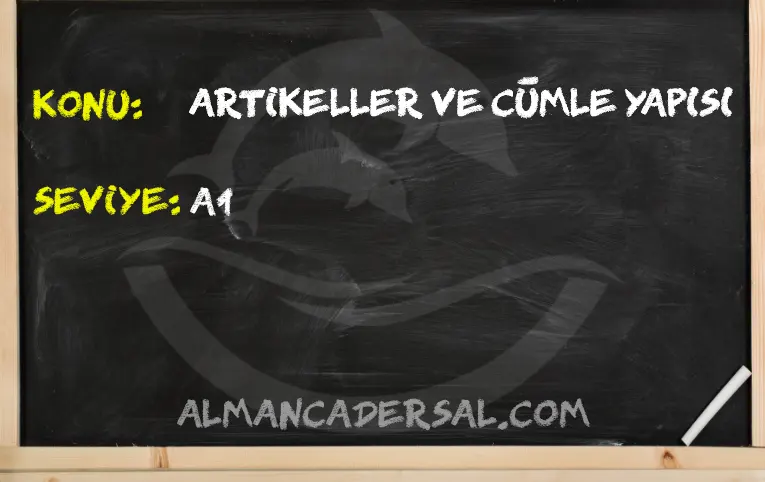 Artikeller ve Cümle yapısı
