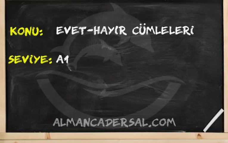 Evet Hayır cümleleri