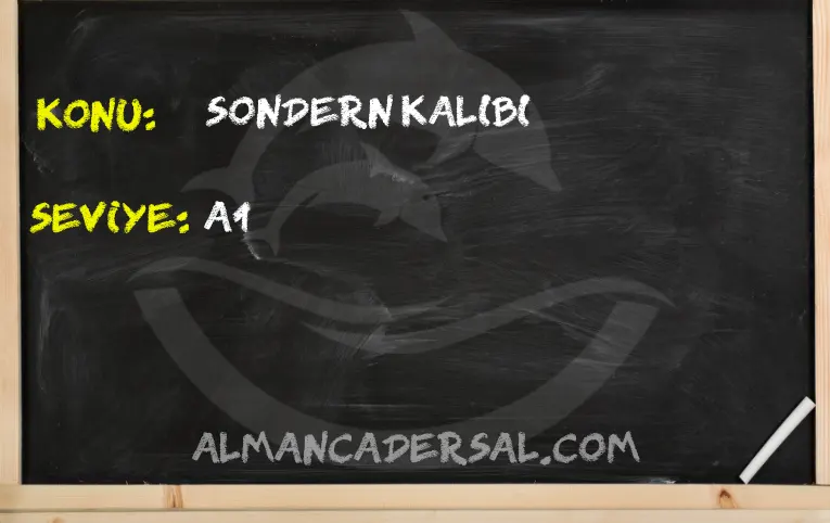 Sondern kalıbı